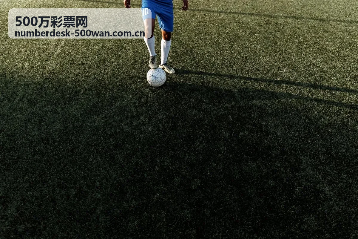 500万彩票网历史数据回溯功能说明